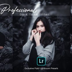 Professional Photography Lightroom Preset Download