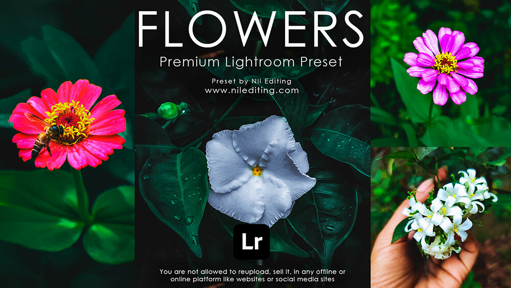 Lightroom Mobile Presets