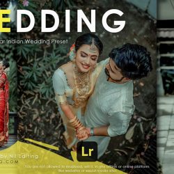 Indian Wedding Photography Preset Download