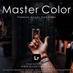 Master Color Lightroom Preset Free Download