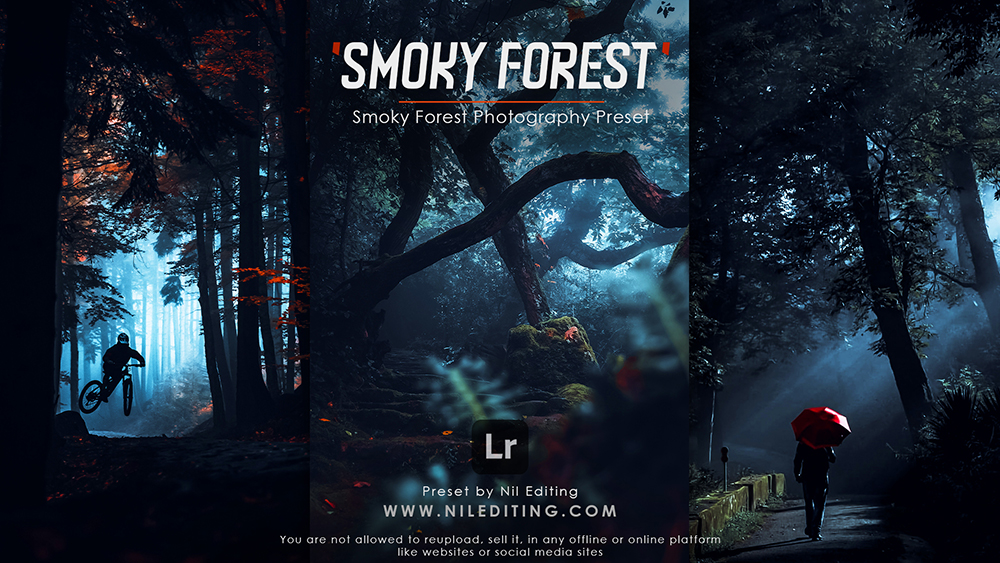 Smoky Forest Lightroom Preset