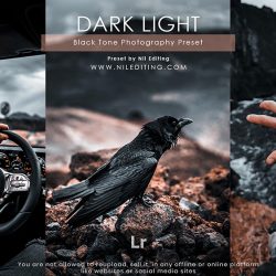 Dark Light Preset Download Lightroom